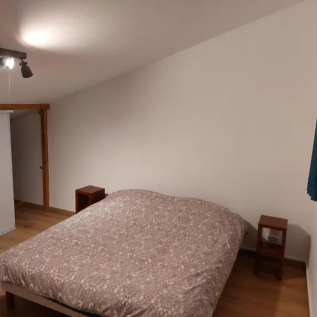 Bel Spacieux A Daire Nancy